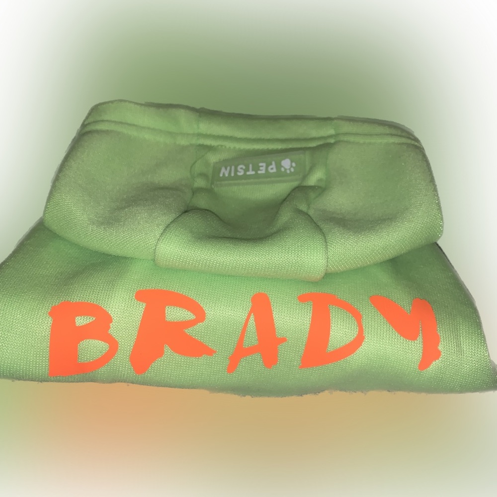 Neon Green Dog hoodie with neon orange iron on print